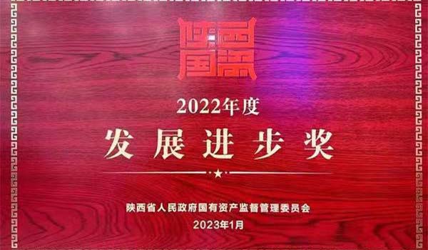 陝外集團榮獲陝西省國(guó)資系統2022年度“發展進步獎”